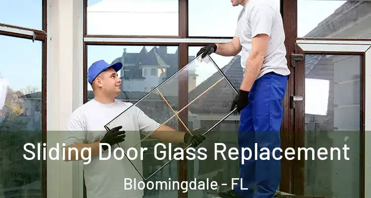  Sliding Door Glass Replacement Bloomingdale - FL