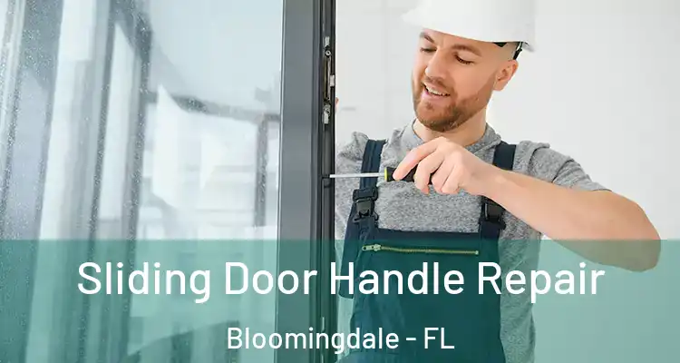  Sliding Door Handle Repair Bloomingdale - FL