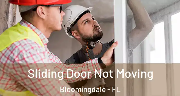  Sliding Door Not Moving Bloomingdale - FL