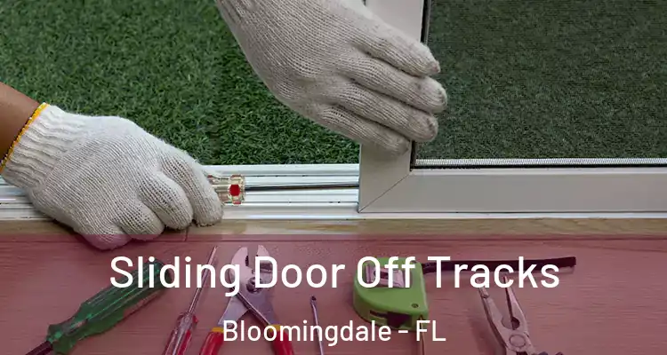  Sliding Door Off Tracks Bloomingdale - FL