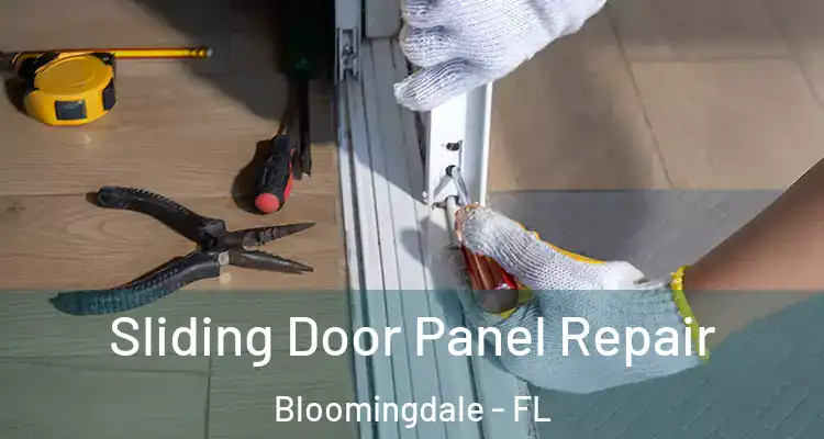  Sliding Door Panel Repair Bloomingdale - FL