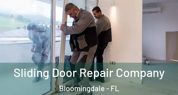  Sliding Door Repair Company Bloomingdale - FL