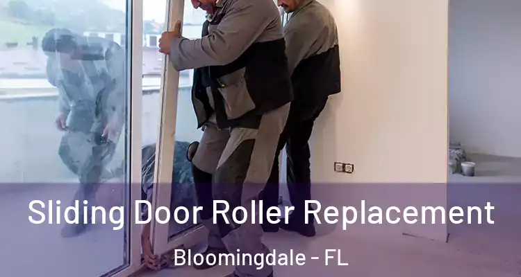  Sliding Door Roller Replacement Bloomingdale - FL