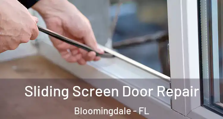  Sliding Screen Door Repair Bloomingdale - FL