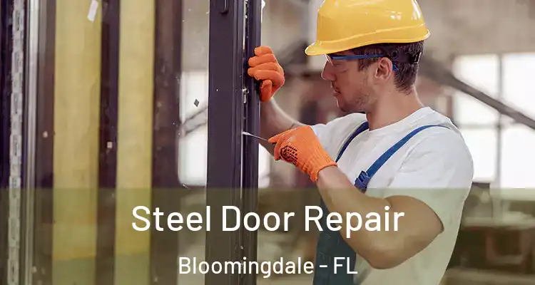  Steel Door Repair Bloomingdale - FL