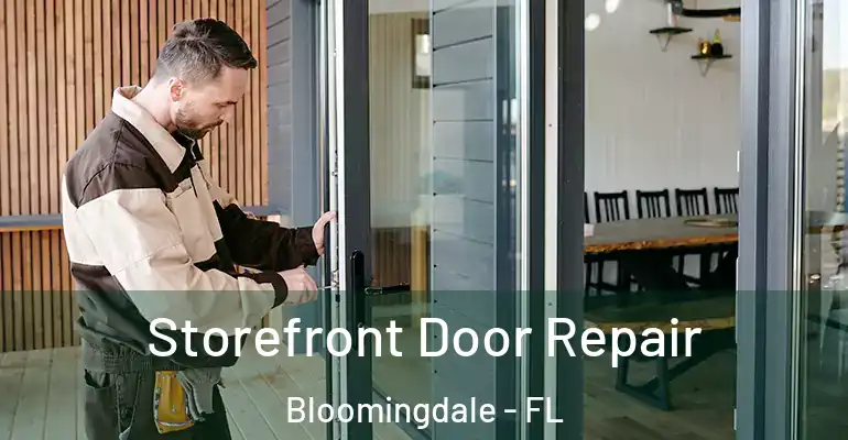  Storefront Door Repair Bloomingdale - FL