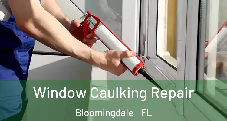  Window Caulking Repair Bloomingdale - FL