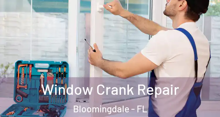  Window Crank Repair Bloomingdale - FL
