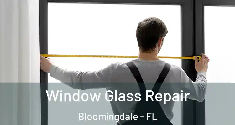  Window Glass Repair Bloomingdale - FL