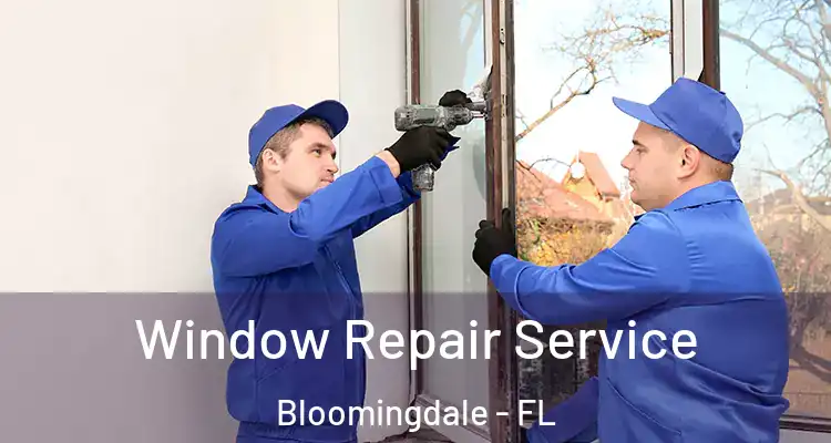  Window Repair Service Bloomingdale - FL