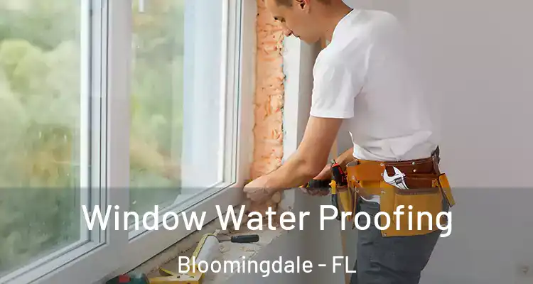  Window Water Proofing Bloomingdale - FL