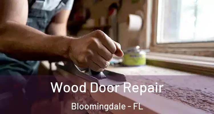  Wood Door Repair Bloomingdale - FL
